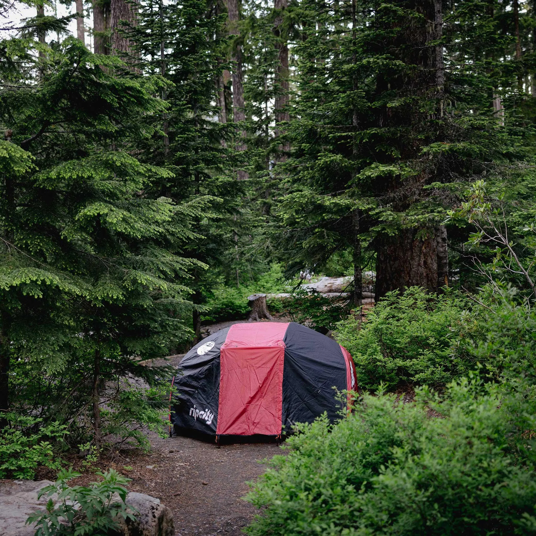 Portland Trail Blazers x Poler Tent - 2  Person