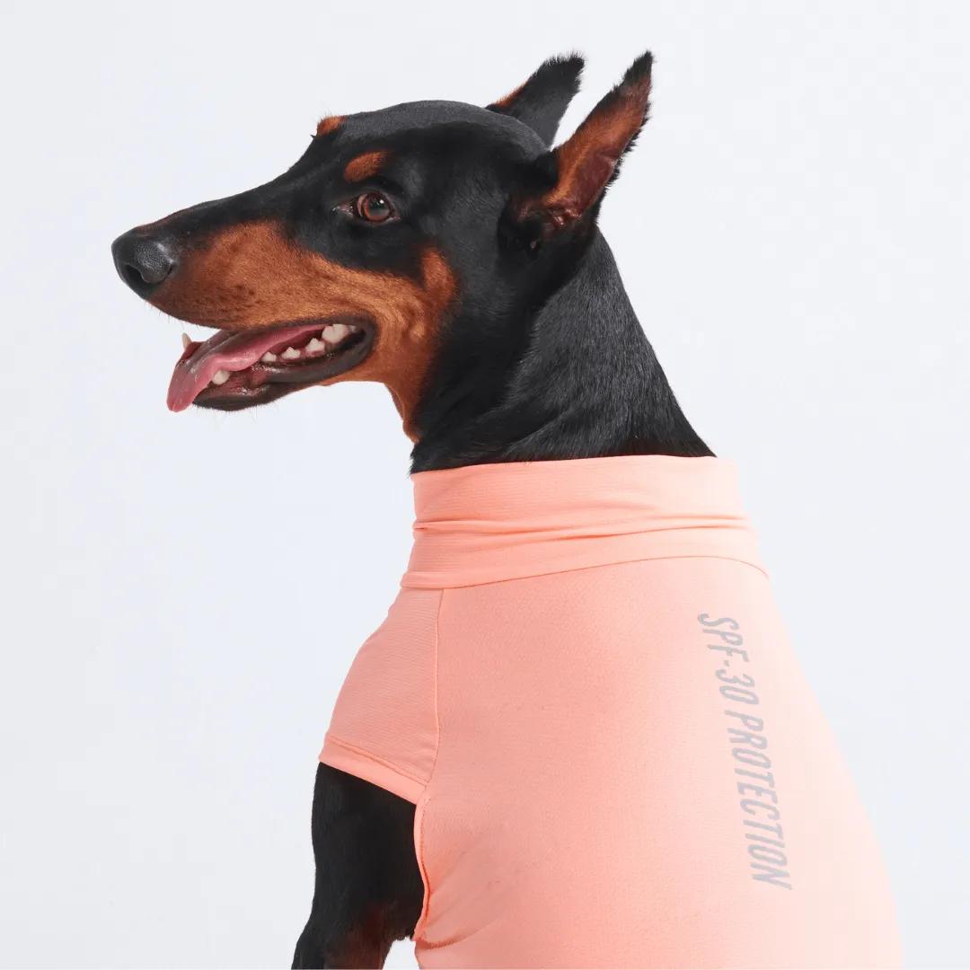 Sunblock Dog T-Shirts