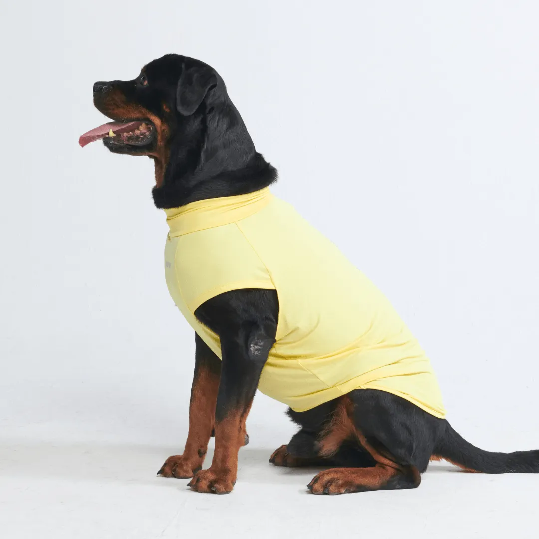 Sunblock Dog T-Shirts