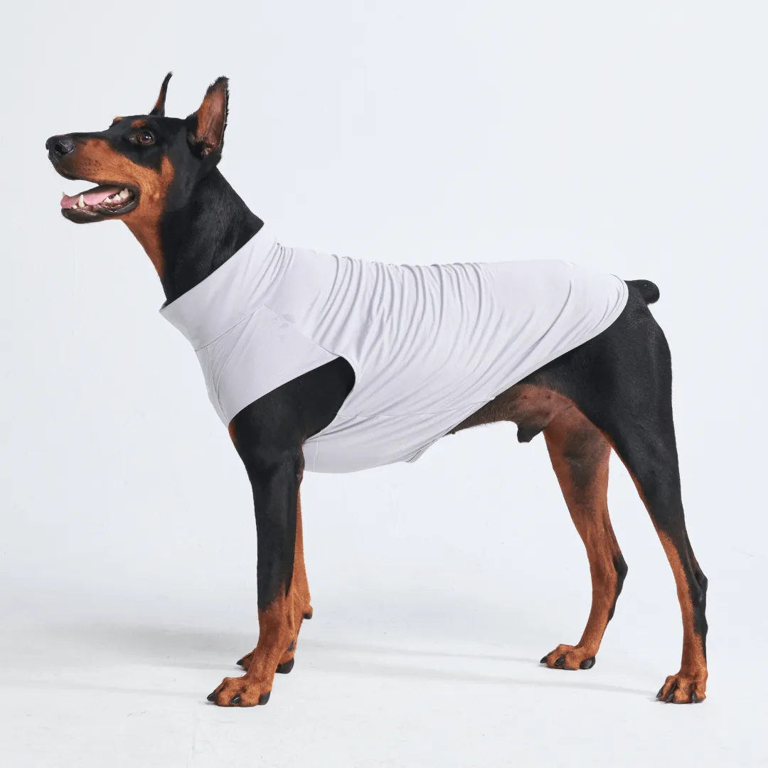 Sunblock Dog T-Shirts