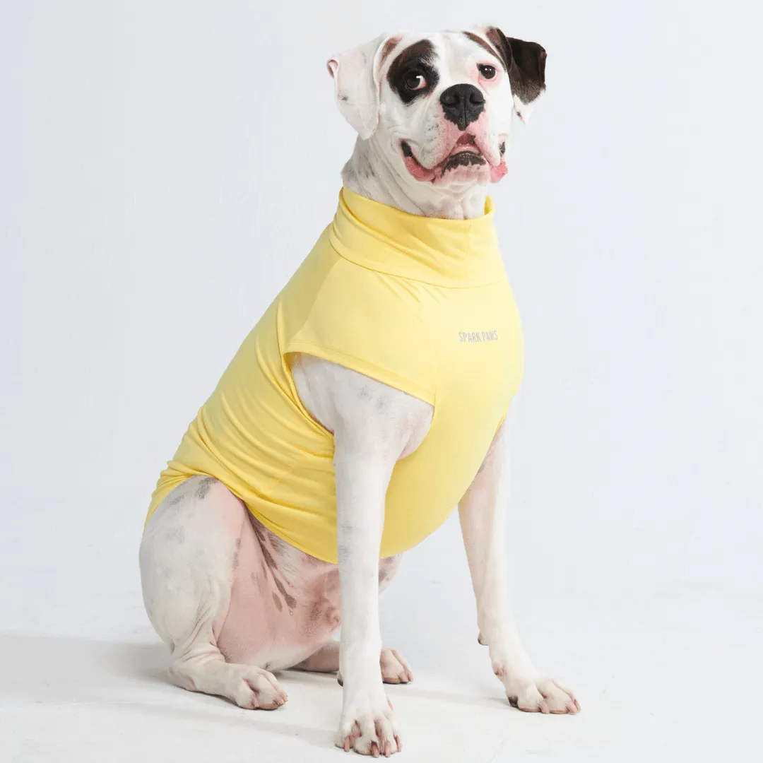 Sunblock Dog T-Shirts