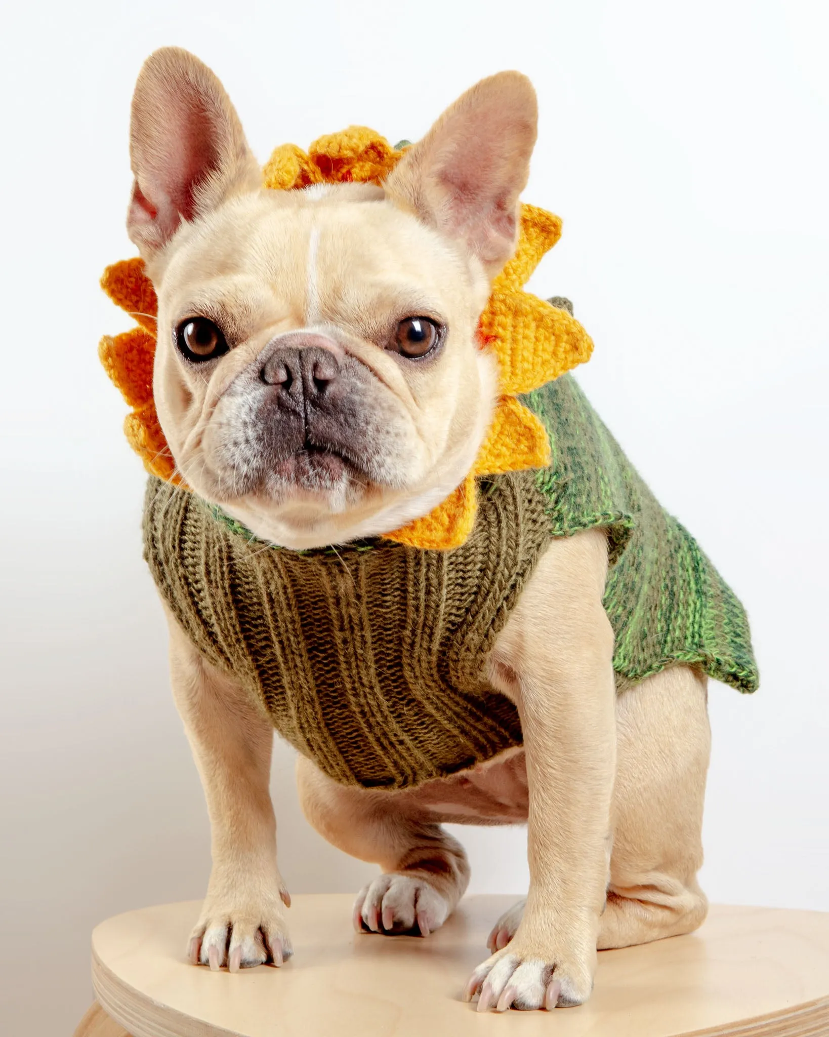 Sunflower Hand-Knit Dog Sweater (DOG & CO. Exclusive)